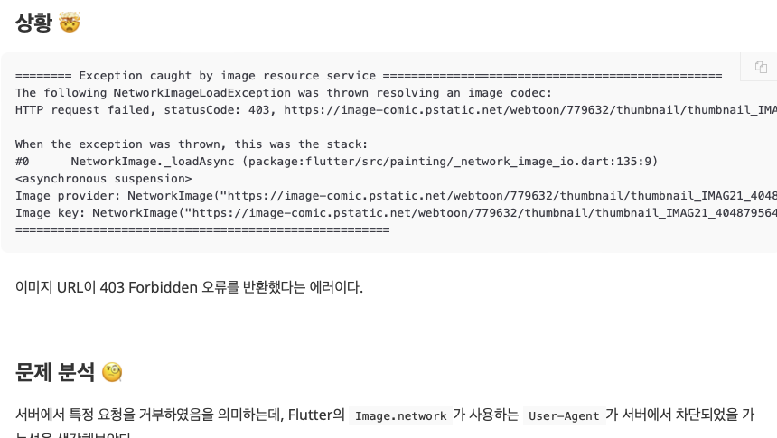 Flutter Image.network() 403 에러